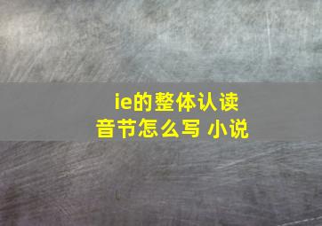 ie的整体认读音节怎么写 小说